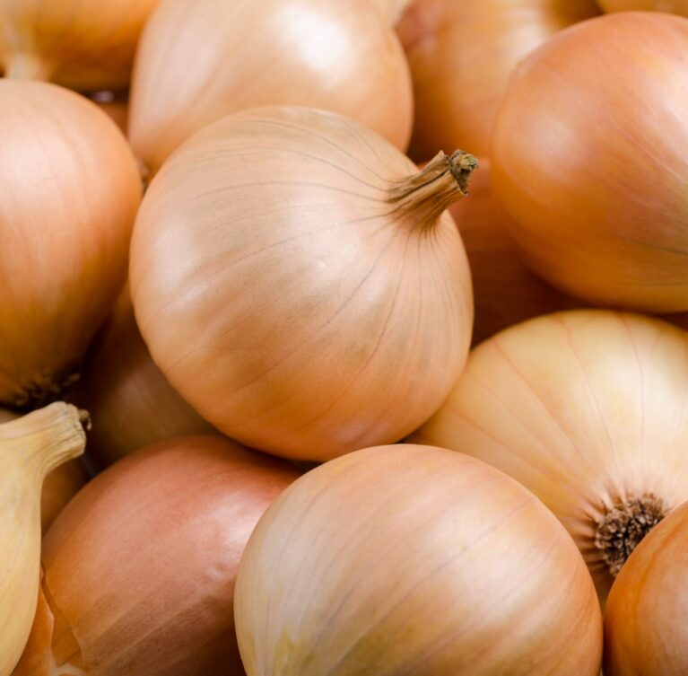 Nos oignons sont soigneusement sélectionnés pour leur peau lisse, leur fermeté et leur goût doux et naturel.