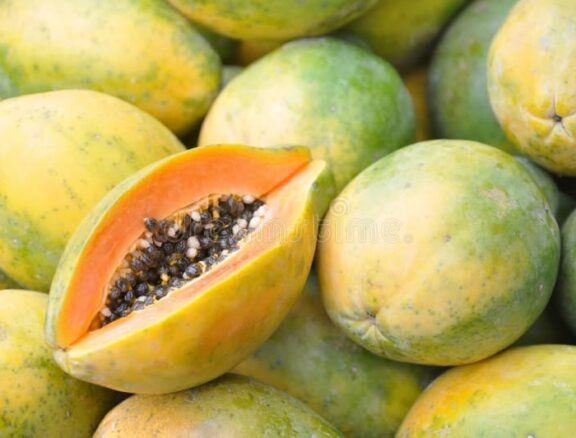 Nos papayes du Sénégal se distinguent par leur chair orangée, tendre et sucrée