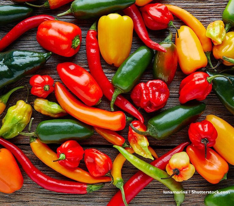Nos piments du Sénégal se distinguent par leur piquant naturel, leur fraîcheur et leur couleur rouge éclatante.