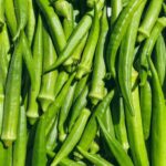 Footer Primary Without Banner