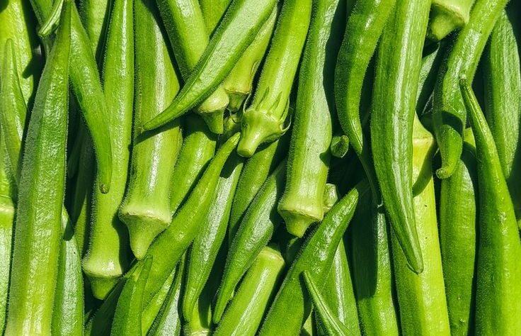 Un produit frais, tendre et croquant, au goût naturel incomparable. Chaque pièce reflète le savoir-faire sénégalais et garantit une qualité constante.