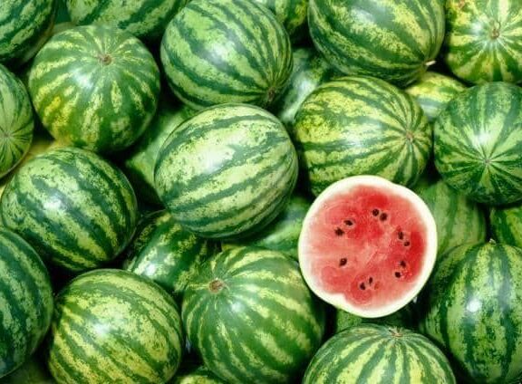 Nos pastèques sont soigneusement sélectionnées pour leur qualité supérieure, leur fraîcheur et leur goût sucré naturel.