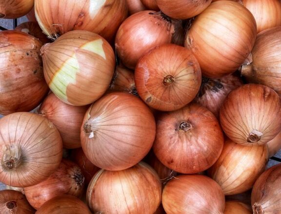 Nos oignons sont soigneusement sélectionnés pour leur peau lisse, leur fermeté et leur goût doux et naturel.