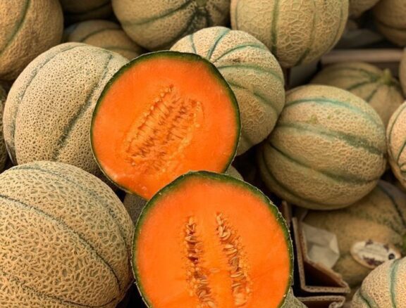 Nos melons se distinguent par leur chair sucrée, juteuse et parfumée, offrant une texture tendre et une saveur naturelle.